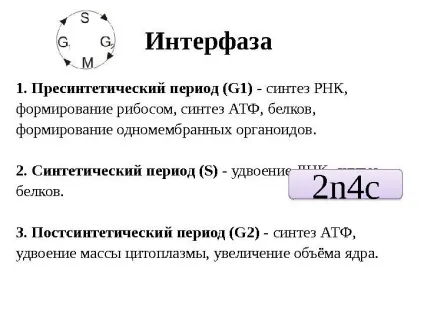 Рішення задач по цитології на застосування знань у