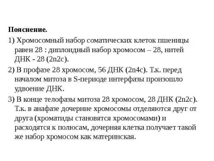 Рішення задач по цитології на застосування знань у