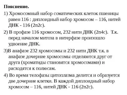 Рішення задач по цитології на застосування знань у