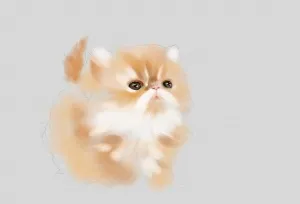 Малюнок кошеня в paint tool sai, шаржі по фотографії в caricature studio