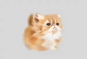 Малюнок кошеня в paint tool sai, шаржі по фотографії в caricature studio
