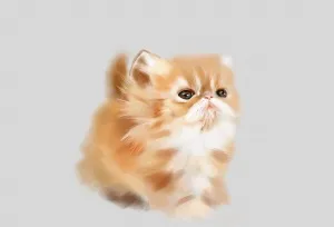 Малюнок кошеня в paint tool sai, шаржі по фотографії в caricature studio