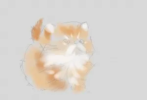 Малюнок кошеня в paint tool sai, шаржі по фотографії в caricature studio
