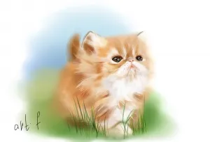 Малюнок кошеня в paint tool sai, шаржі по фотографії в caricature studio