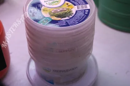 Рододендрони з насіння - майстер садів