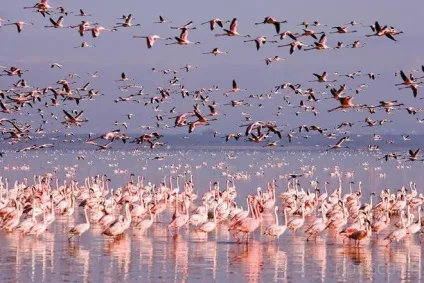 Самі незвичайні озера світу (10 фото) (озера) Самі незвичайні озера світу (10 фото)