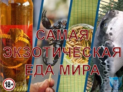 Самі екзотичні страви світу або 52 делікатесу, які ви б не стали їсти (екзотичні страви) Самі екзотичні страви світу або 52 делікатесу, які ви б не стали їсти