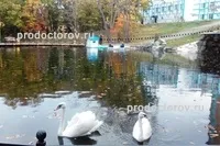 Санаторій «океан» - 15 лікарів, 15 відгуків, Кременчук (океан) Санаторій «океан» - 15 лікарів, 15 відгуків, Кременчук