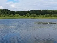 Санаторій лётци - санаторії Білорусії білорусі (Хвороби органів травлення) Санаторій лётци - санаторії Білорусії білорусі