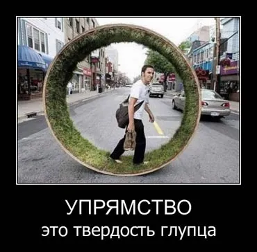 Статуси про впертість