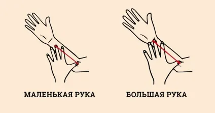 Терміново зміряй розмір своєї руки! Виявляється, це може багато про тебе розповісти (розповісти) Терміново зміряй розмір своєї руки! Виявляється, це може багато про тебе розповісти