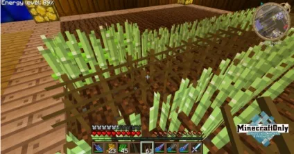 Селекція або гумовий очерет - minecraftonly »почати гру на кращих серверах майнкрафт (очерет) Селекція або гумовий очерет - minecraftonly »почати гру на кращих серверах майнкрафт
