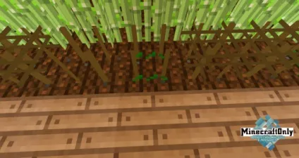 Селекція або гумовий очерет - minecraftonly »почати гру на кращих серверах майнкрафт (способі) Селекція або гумовий очерет - minecraftonly »почати гру на кращих серверах майнкрафт