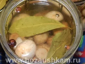 Печериці на зиму, корисні поради господарочкам (зиму) Печериці на зиму, корисні поради господарочкам