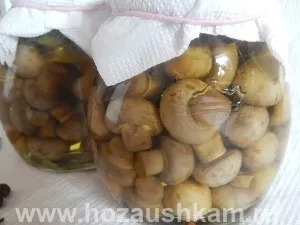 Печериці на зиму, корисні поради господарочкам (зиму) Печериці на зиму, корисні поради господарочкам
