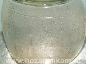 Печериці на зиму, корисні поради господарочкам (шампіньйони) Печериці на зиму, корисні поради господарочкам