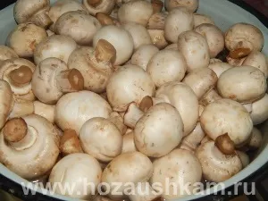 Печериці на зиму, корисні поради господарочкам (печериці на зиму) Печериці на зиму, корисні поради господарочкам