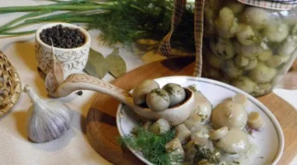 Печериці мариновані з часником кращі рецепти (маринованих шампіньйонів часником) Печериці мариновані з часником кращі рецепти
