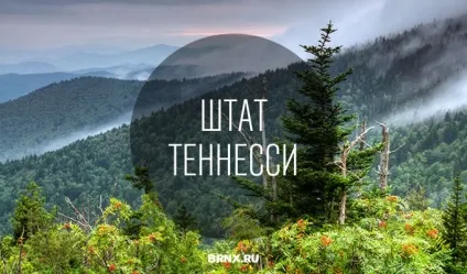 Штат Теннессі, США (tennessee, tn, usa) (Університет штату Теннессі) Штат Теннессі, США (tennessee, tn, usa)