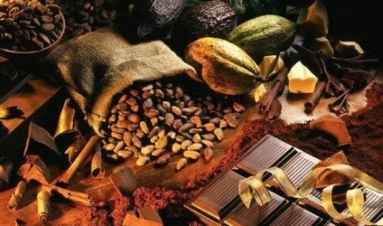 Шоколадне обгортання в домашніх умовах (гаряче і холодне шоколадне обгортання в домашніх умовах) Шоколадне обгортання в домашніх умовах