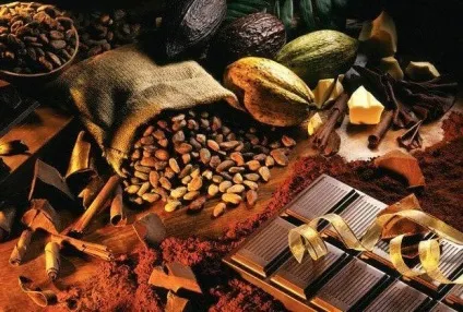Шоколадне обгортання в домашніх умовах (гаряче і холодне шоколадне обгортання в домашніх умовах) Шоколадне обгортання в домашніх умовах