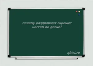 Скільки почуттів у людини - як мінімум 9, цікаві факти кожен день! (Які є почуття у людини) Скільки почуттів у людини - як мінімум 9, цікаві факти кожен день!
