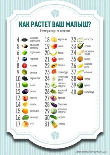 Скільки плід набирає ваги тиждень (плід) Скільки плід набирає ваги тиждень