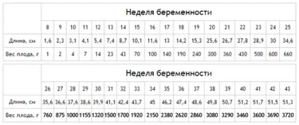 Скільки плід набирає ваги тиждень (набирає) Скільки плід набирає ваги тиждень