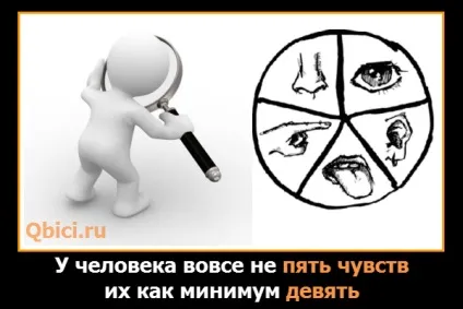 Скільки почуттів у людини - як мінімум 9, цікаві факти кожен день! (Мінімум) Скільки почуттів у людини - як мінімум 9, цікаві факти кожен день!