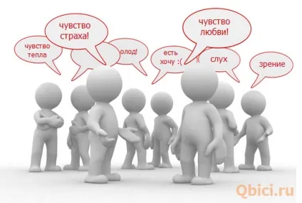 Скільки почуттів у людини - як мінімум 9, цікаві факти кожен день! (9 почуттів людини) Скільки почуттів у людини - як мінімум 9, цікаві факти кожен день!