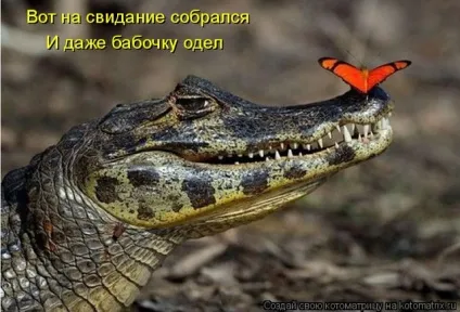 Скажи мені, що ти шукаєш в інтернеті, і я скажу, хто ти (гумор) Скажи мені, що ти шукаєш в інтернеті, і я скажу, хто ти