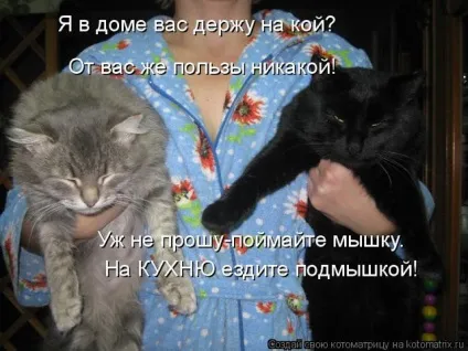 Скажи мені, що ти шукаєш в інтернеті, і я скажу, хто ти (частина 1) Скажи мені, що ти шукаєш в інтернеті, і я скажу, хто ти