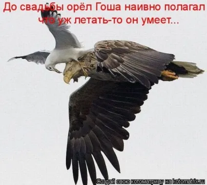 Скажи мені, що ти шукаєш в інтернеті, і я скажу, хто ти (кожен день) Скажи мені, що ти шукаєш в інтернеті, і я скажу, хто ти