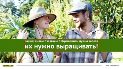 Слайди, стилі, два шрифту