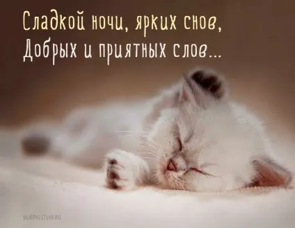 Смс на добраніч