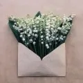 Сонник голос уві сні, до чого сниться голос (імені швидше за все) Сонник голос уві сні, до чого сниться голос