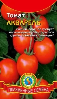 Сорти помідори томат акварель, аврора