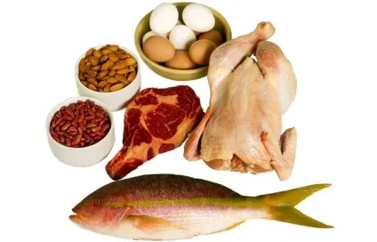 Вміст білка в продуктах