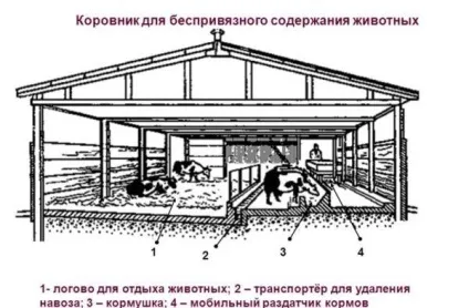 Зміст корови в домашніх умовах (безприв'язне), в особистому господарстві (господарстві) Зміст корови в домашніх умовах (безприв'язне), в особистому господарстві