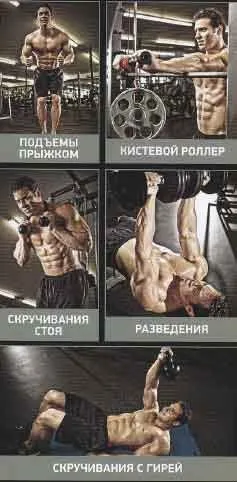 Засоби від застою в бодібілдингу (Виконання Ізольованим зусиллям) Засоби від застою в бодібілдингу