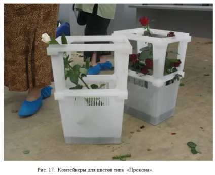 Зрізання троянд, охолодження, сортування, зберігання і транспортування троянд (сортування) Зрізання троянд, охолодження, сортування, зберігання і транспортування троянд