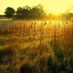 Вірш віри Полозкова