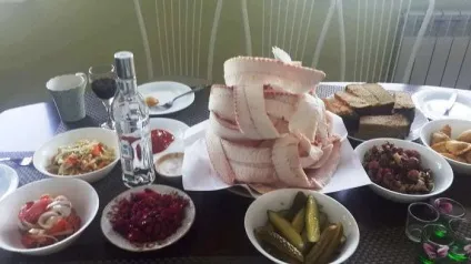 Строганина з м'яса рецепти і поради з приготування (має на увазі термічну обробку) Строганина з м'яса рецепти і поради з приготування