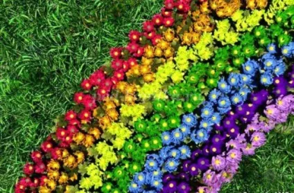 Сценарій свята квітів в дитячому садку (дитячому) Сценарій свята квітів в дитячому садку