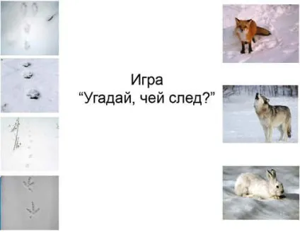 Сценарій дня народження в стилі «маша і ведмідь», свято ідей
