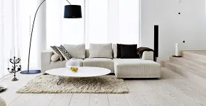Сукуленти (50 фото) дивні рослини, які звикли до посухи (сукуленти) Сукуленти (50 фото) дивні рослини, які звикли до посухи