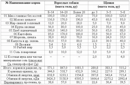 Добовий витрата енергії