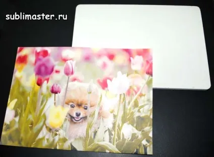 Сублімація на пластиці, сублімастер