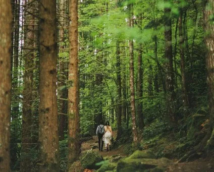 Весільна фотосесія в лісі