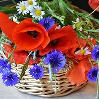 Сутички і пологи без болю (Збираємо дитину школу) Сутички і пологи без болю